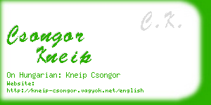 csongor kneip business card